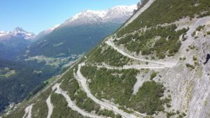 IMG_8544